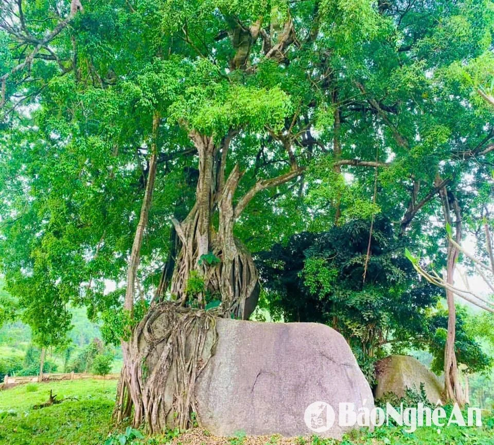 Khám phá những “toạ độ sống ảo” ở miền Tây Nghệ An