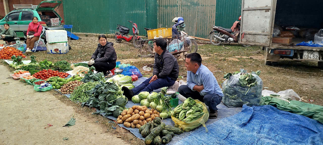 Giá cả thị trường ngày 09/05/2025