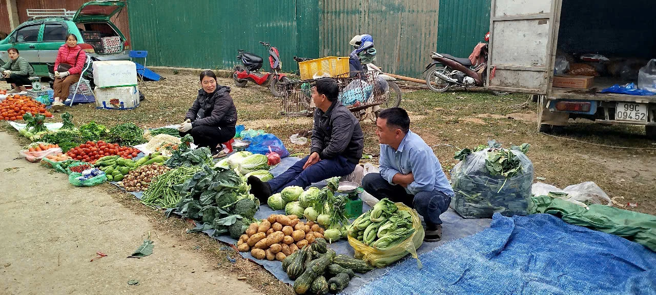 Giá cả thị trường ngày 09/05/2025