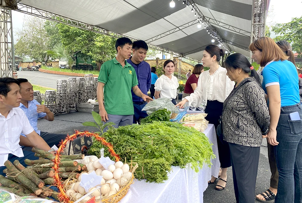 Hơn 170 sản phẩm OCOP tham gia phiên chợ quảng bá, xúc tiến thương mại, kết nối cung cầu sản phẩm tại Tân Sơn
