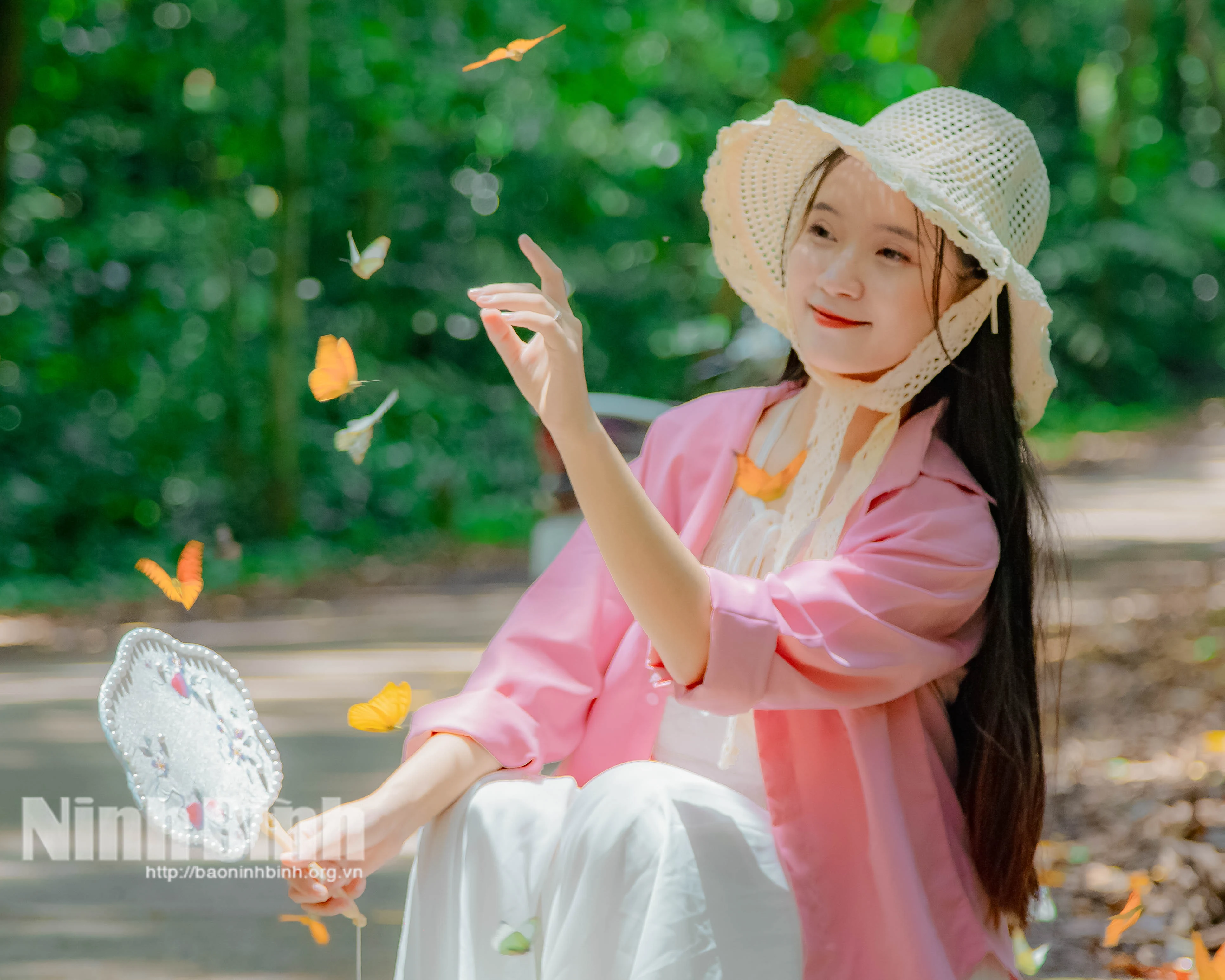 Trải nghiệm mùa bướm cực “chill” ở Cúc Phương