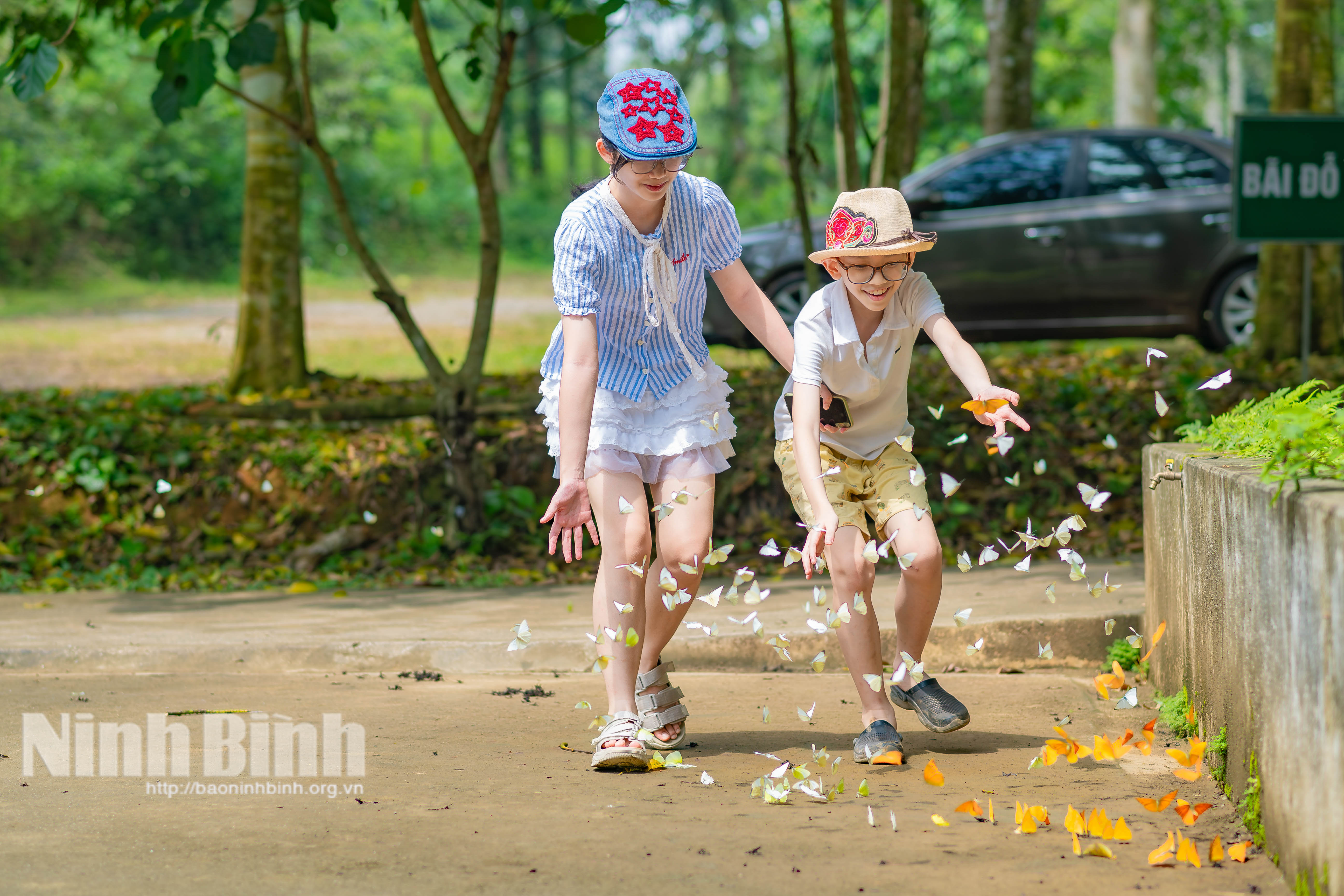 Trải nghiệm mùa bướm cực “chill” ở Cúc Phương