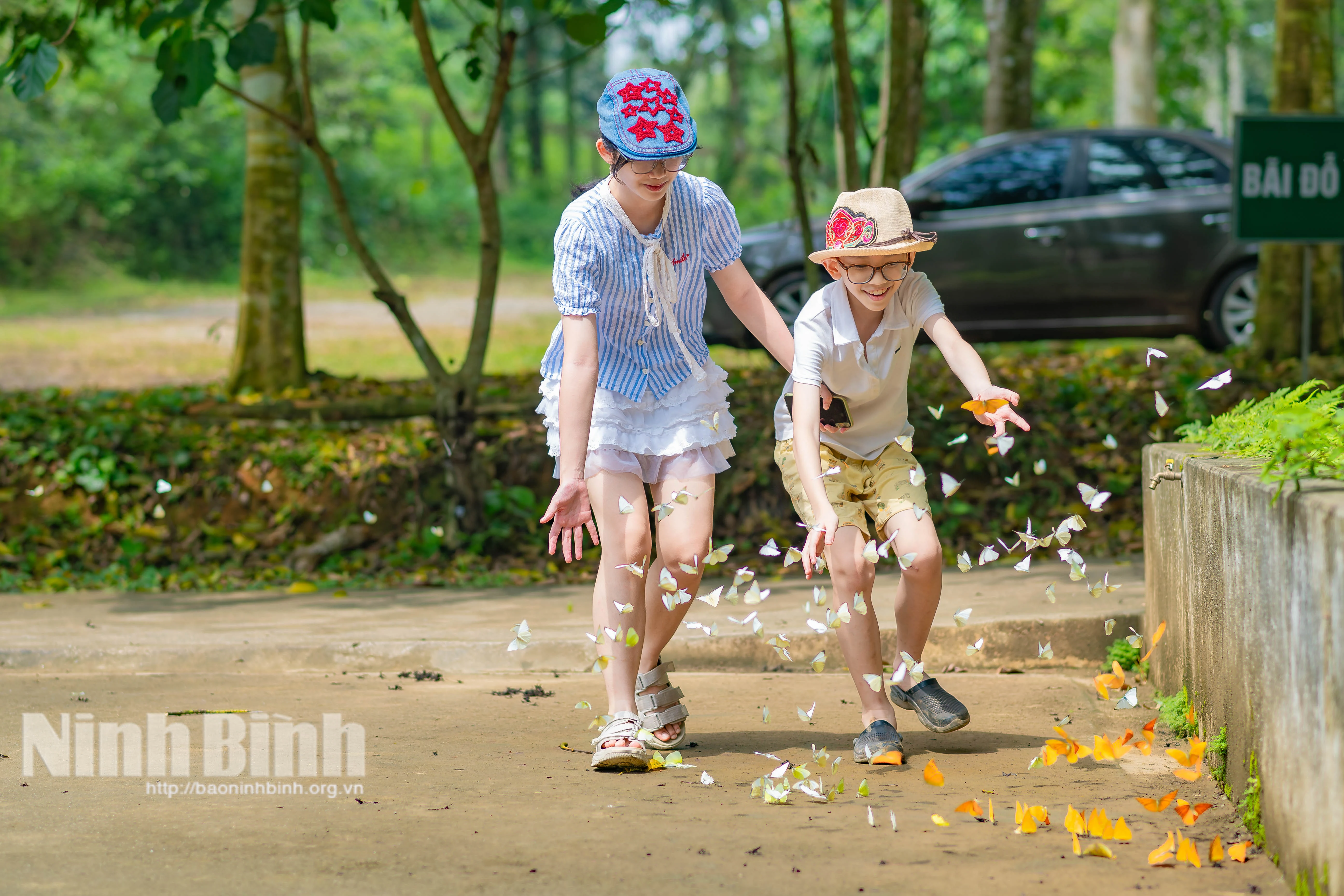 Trải nghiệm mùa bướm cực “chill” ở Cúc Phương