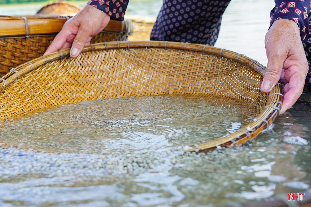 Ngọt mát hến dòng La