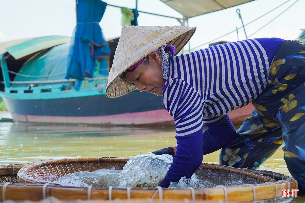 Ngọt mát hến dòng La