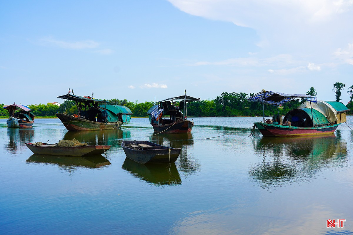 Ngọt mát hến dòng La