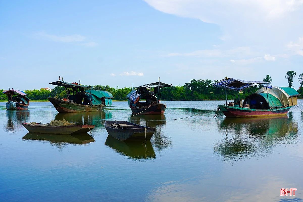 Ngọt mát hến dòng La