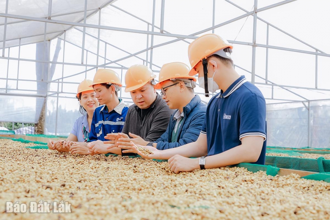 Trải nghiệm du lịch cà phê