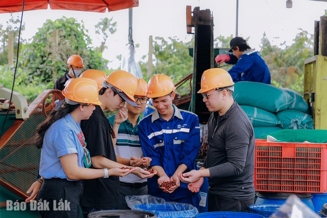 Trải nghiệm du lịch cà phê