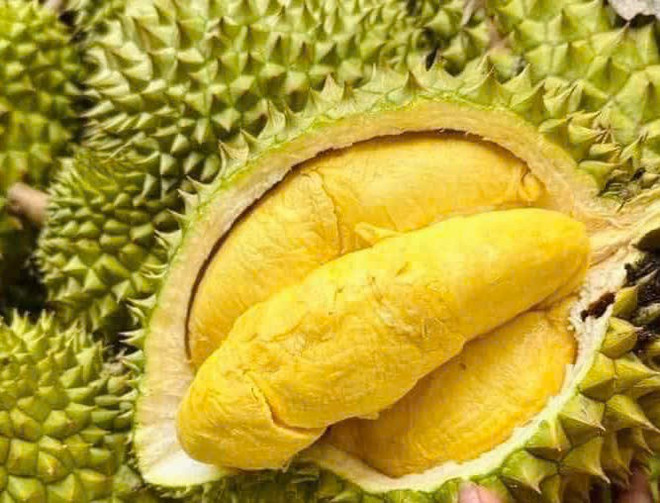 Thủ tướng chỉ đạo tái cơ cấu sản xuất, thúc đẩy xuất khẩu sầu riêng bền vững