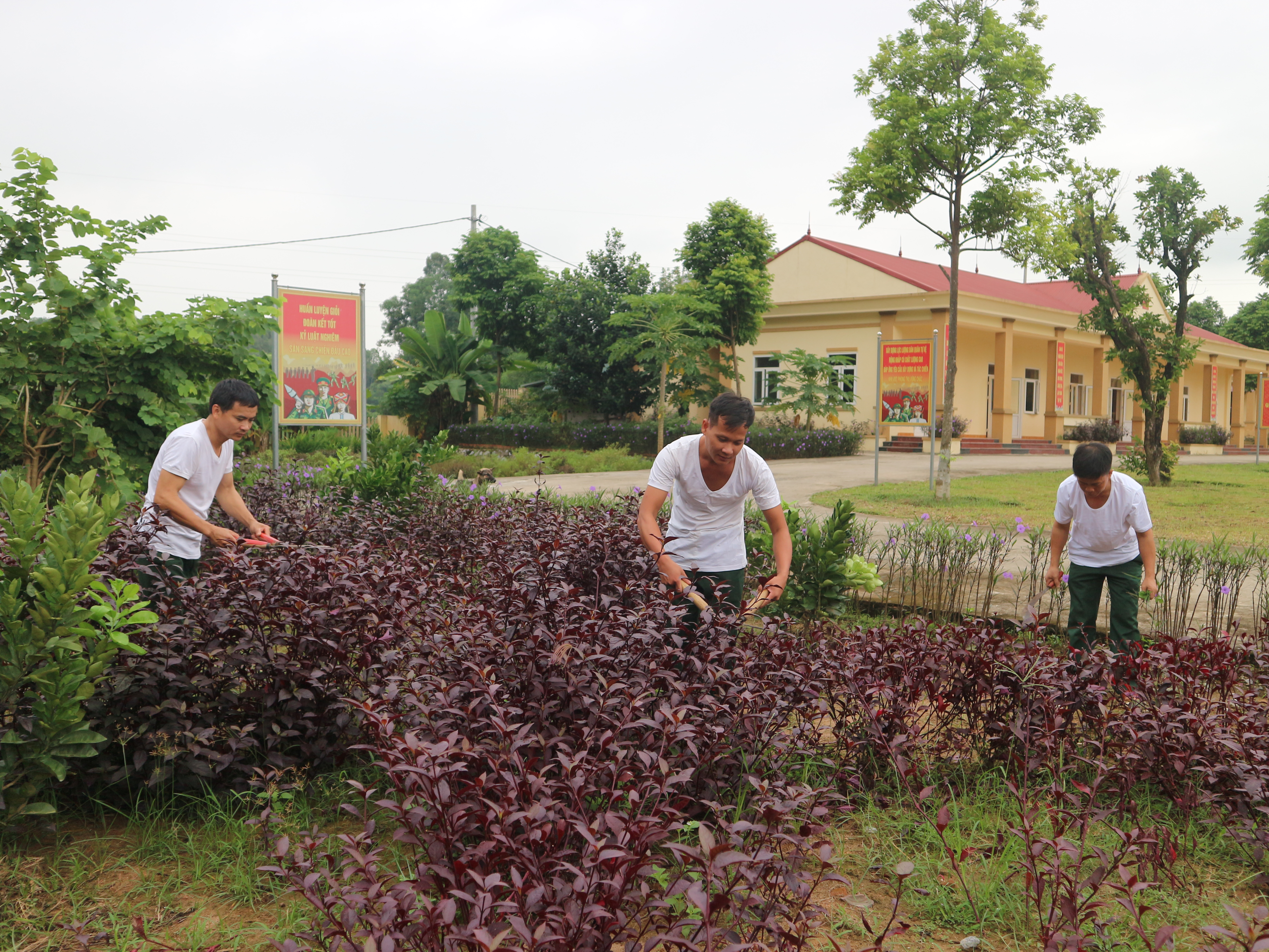 Đưa việc học Bác thành nền nếp trong lực lượng vũ trang