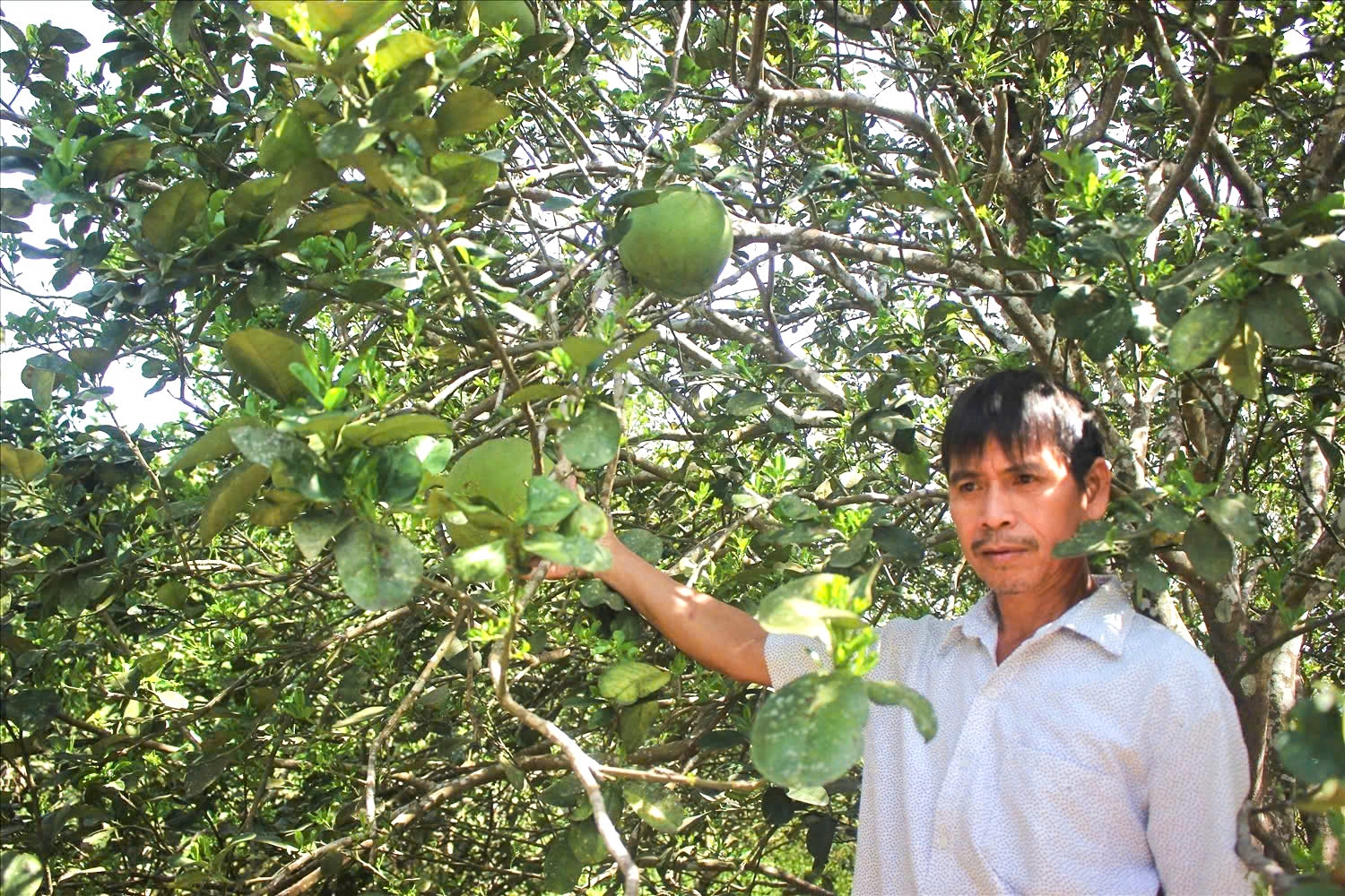 Cuộc sống mới ở thôn Bác Hồ