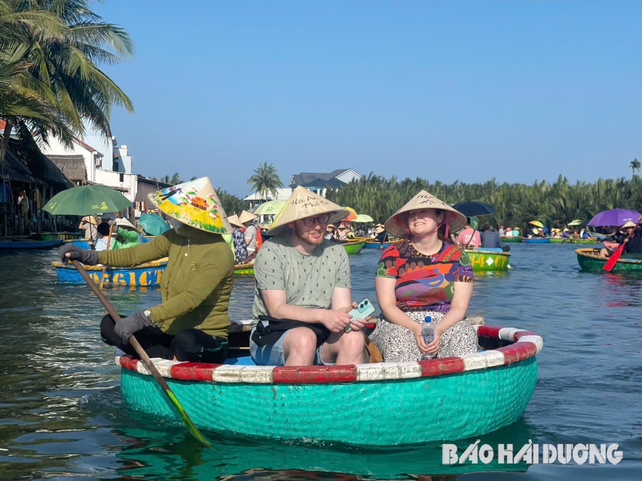 Rừng dừa Bảy Mẫu - điểm đến xanh bên dòng sông Thu Bồn