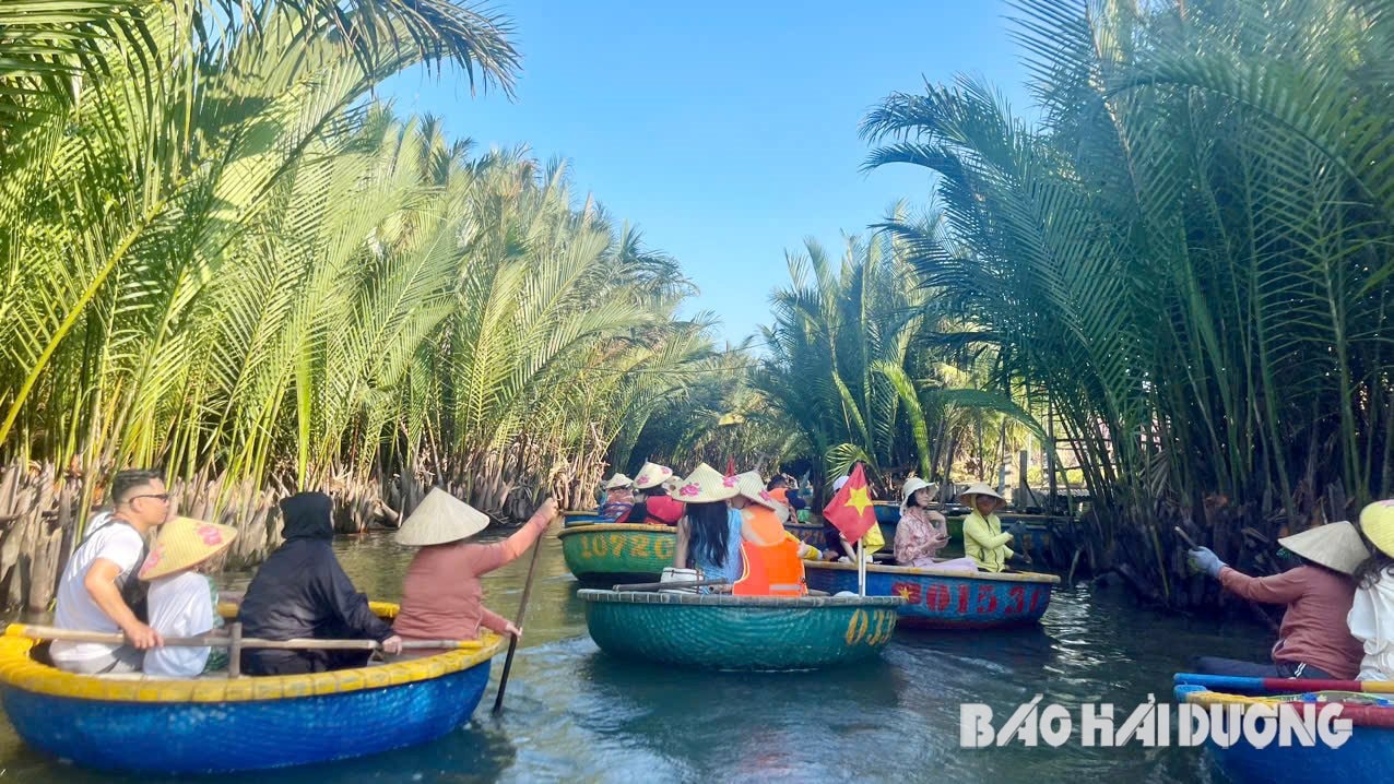 Rừng dừa Bảy Mẫu - điểm đến xanh bên dòng sông Thu Bồn