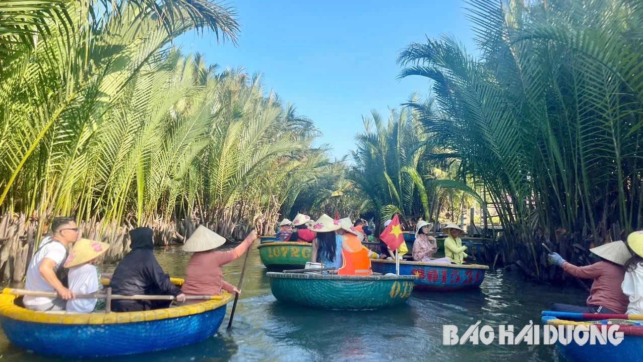 Rừng dừa Bảy Mẫu - điểm đến xanh bên dòng sông Thu Bồn