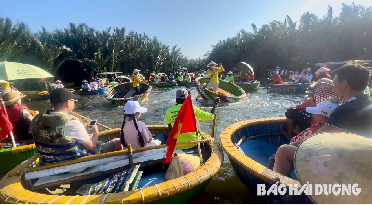 Rừng dừa Bảy Mẫu - điểm đến xanh bên dòng sông Thu Bồn