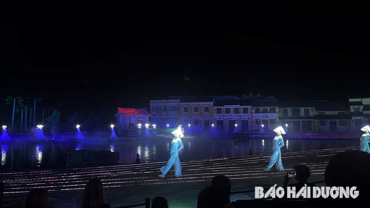 Rừng dừa Bảy Mẫu - điểm đến xanh bên dòng sông Thu Bồn