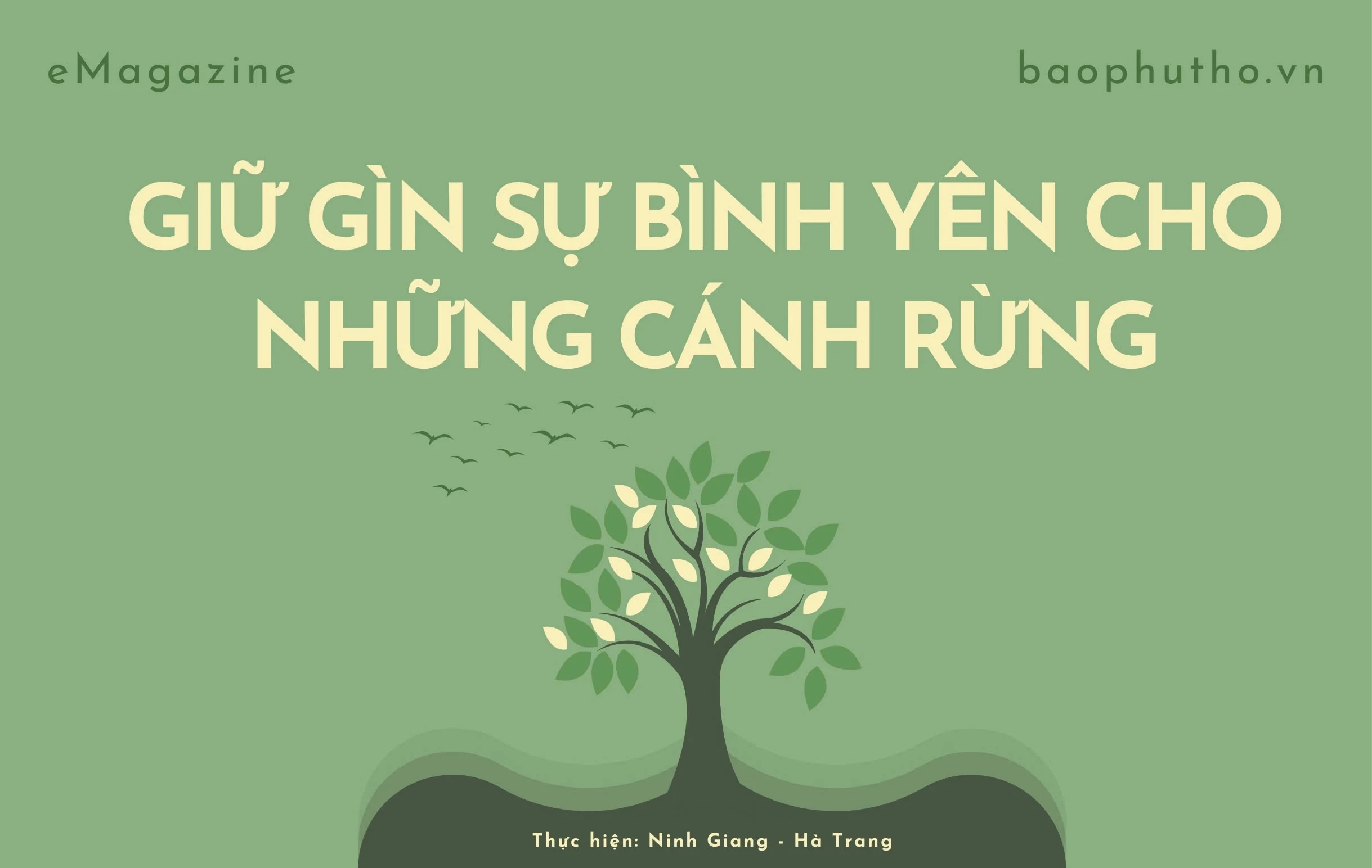 Giữ gìn sự bình yên cho những cánh rừng