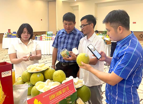 Giá cả thị trường ngày 30/5/2025
