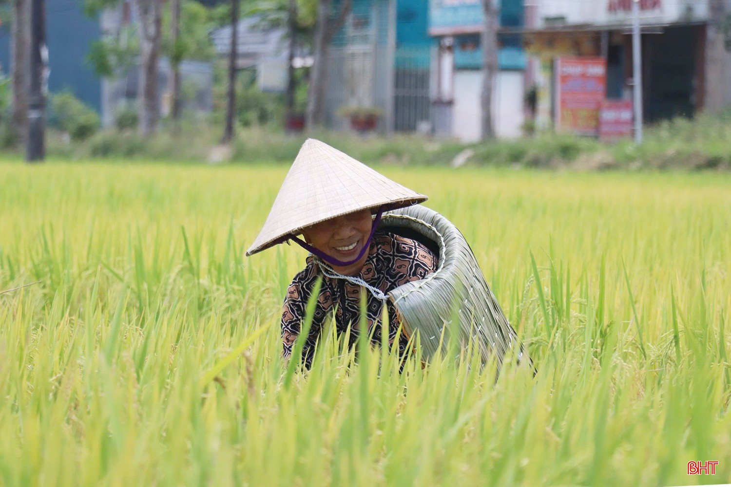 Người phụ nữ hơn 50 năm giữ nghề chằm áo tơi