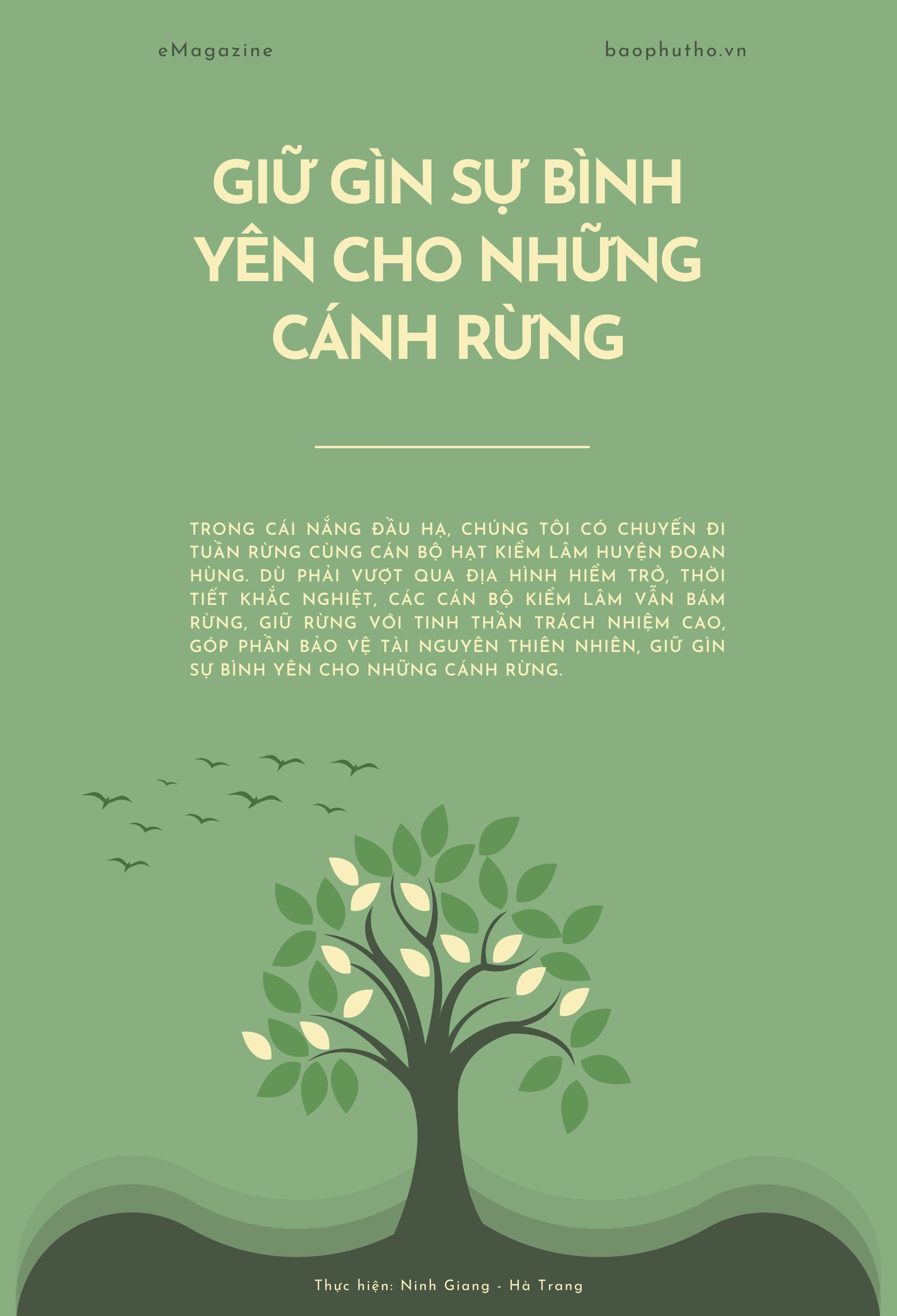 Giữ gìn sự bình yên cho những cánh rừng