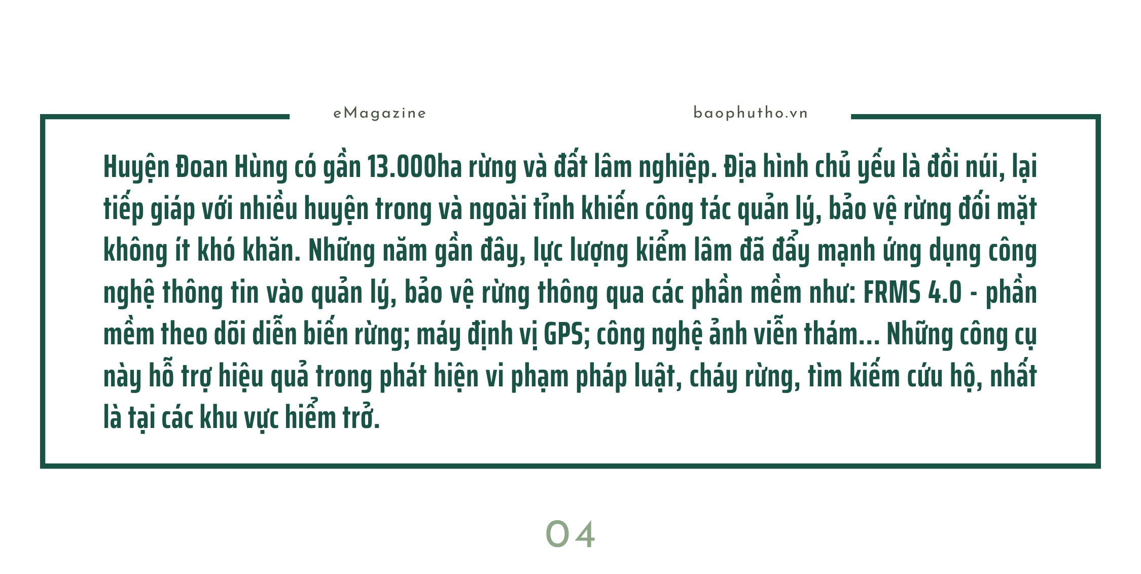 Giữ gìn sự bình yên cho những cánh rừng