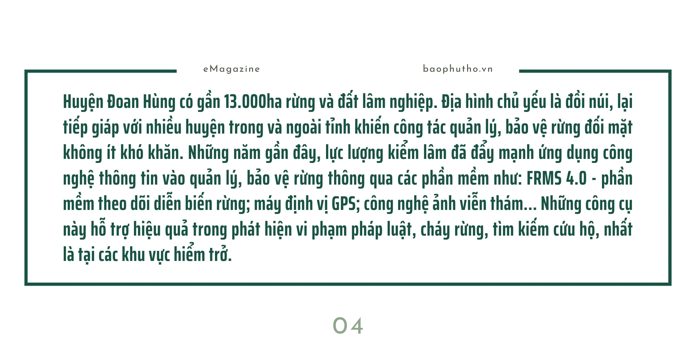 Giữ gìn sự bình yên cho những cánh rừng