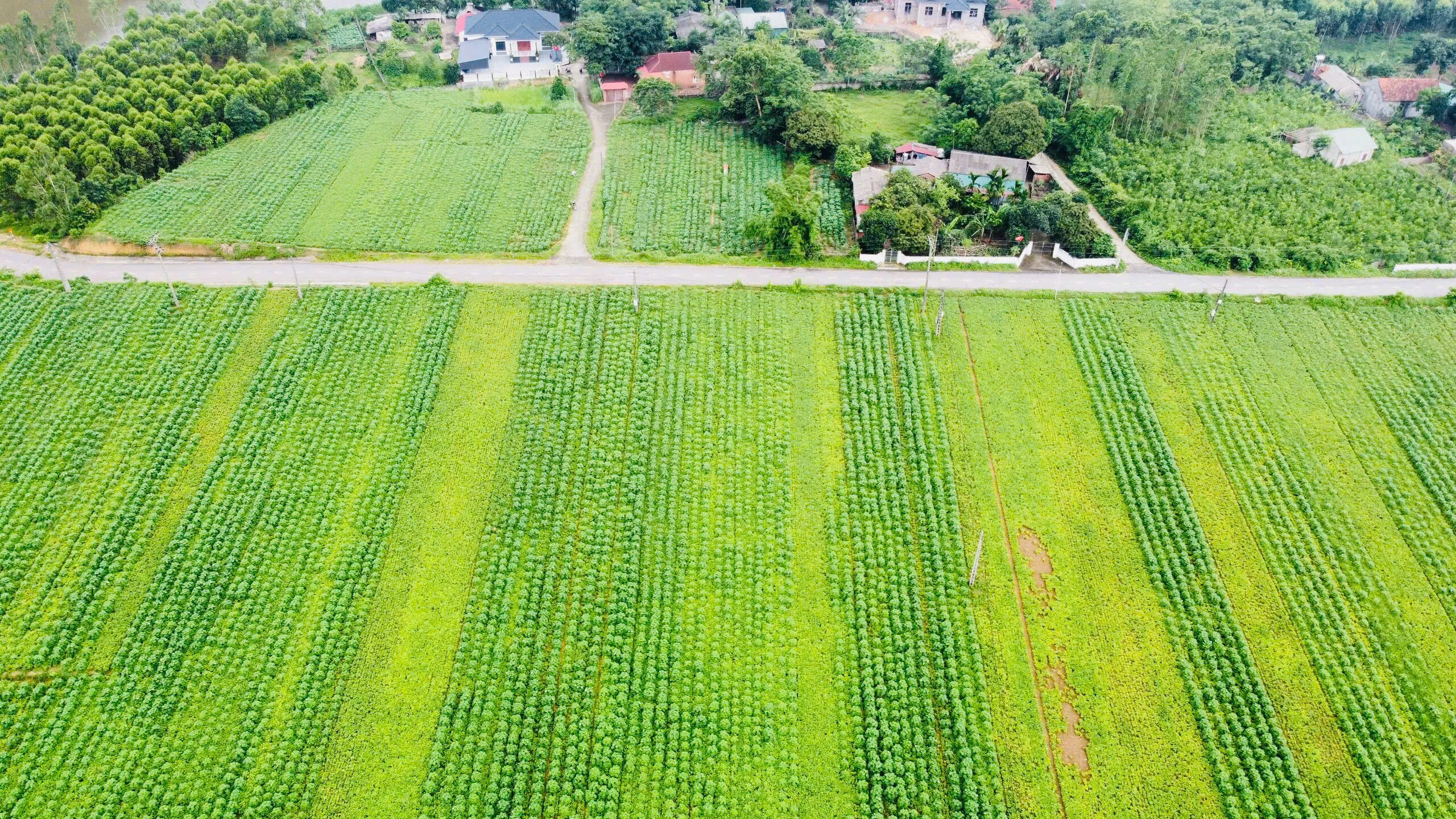 Về núi Mủi, đầm Dài