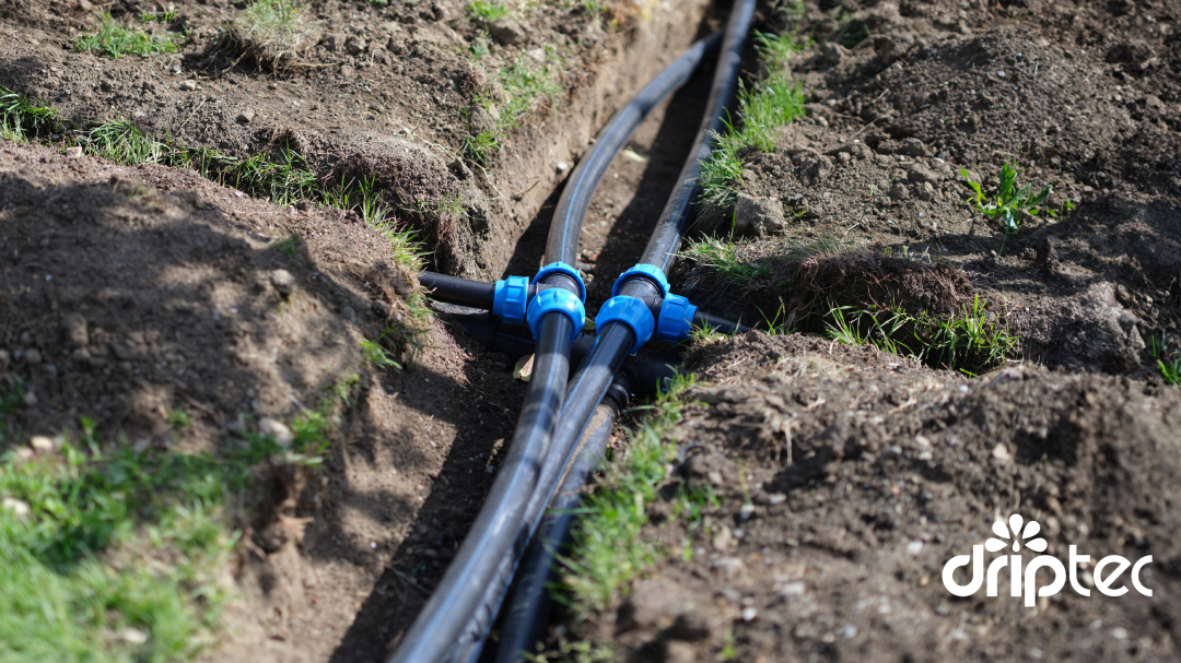 Ống HDPE – Giải pháp tưới tiêu thông minh cho nông nghiệp hiện đại