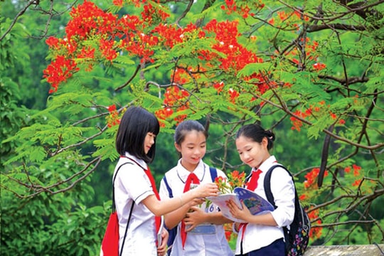 Ký ức học trò