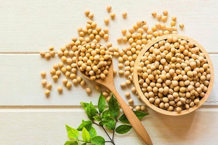 Giải mã đậu nành: Hạt “Vàng” trong làng hạt