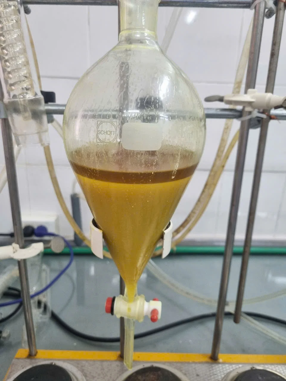 Phát triển nguyên liệu điều trị nấm Candida trong thú y