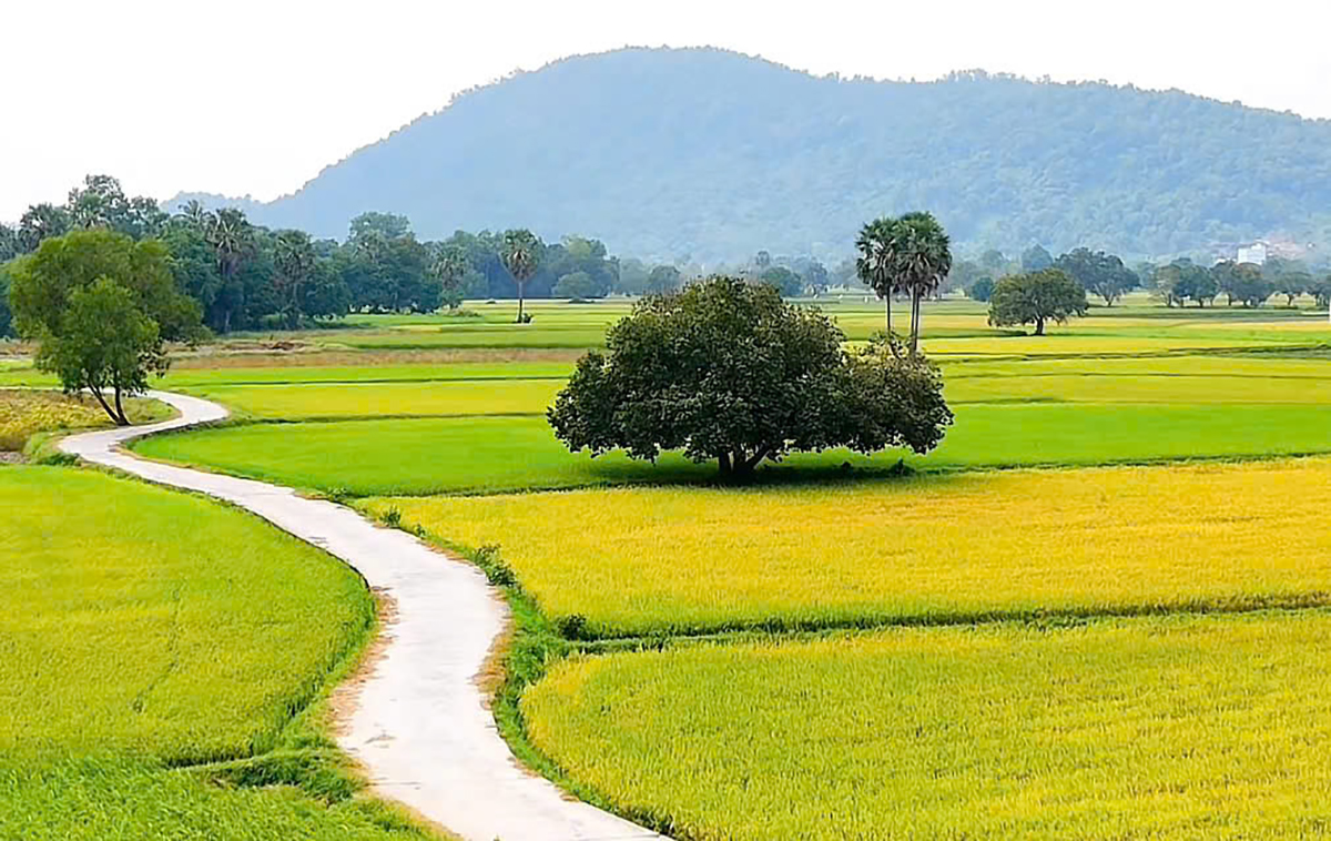 Về An Giang du lịch ngày hè Về An Giang du lịch ngày hè
