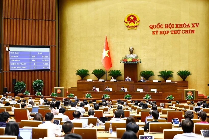 Nghị quyết chỉ định Chủ tịch, Phó Chủ tịch Hội đồng Nhân dân các tỉnh, thành phố