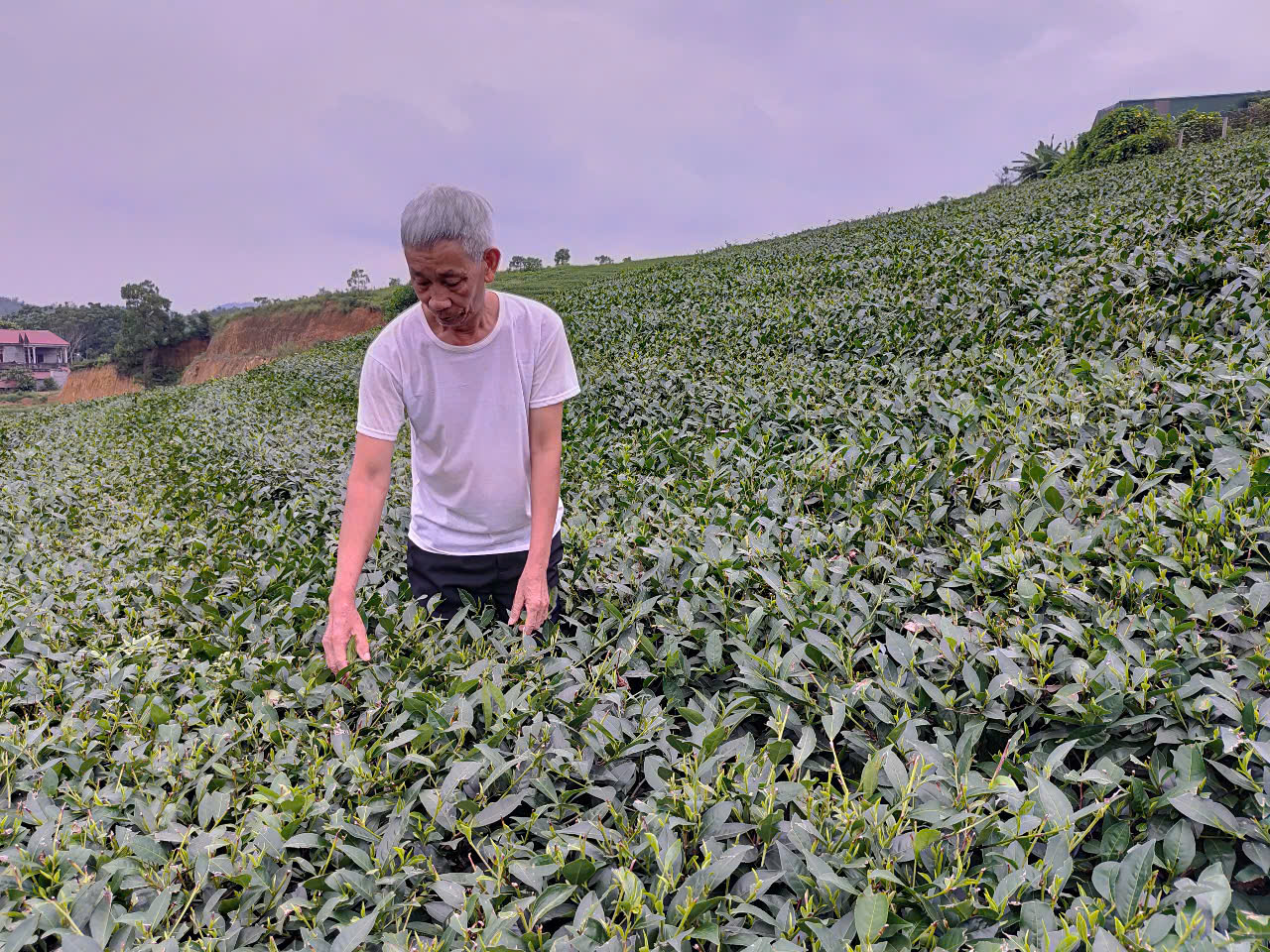 Nâng cao thu nhập cho người dân