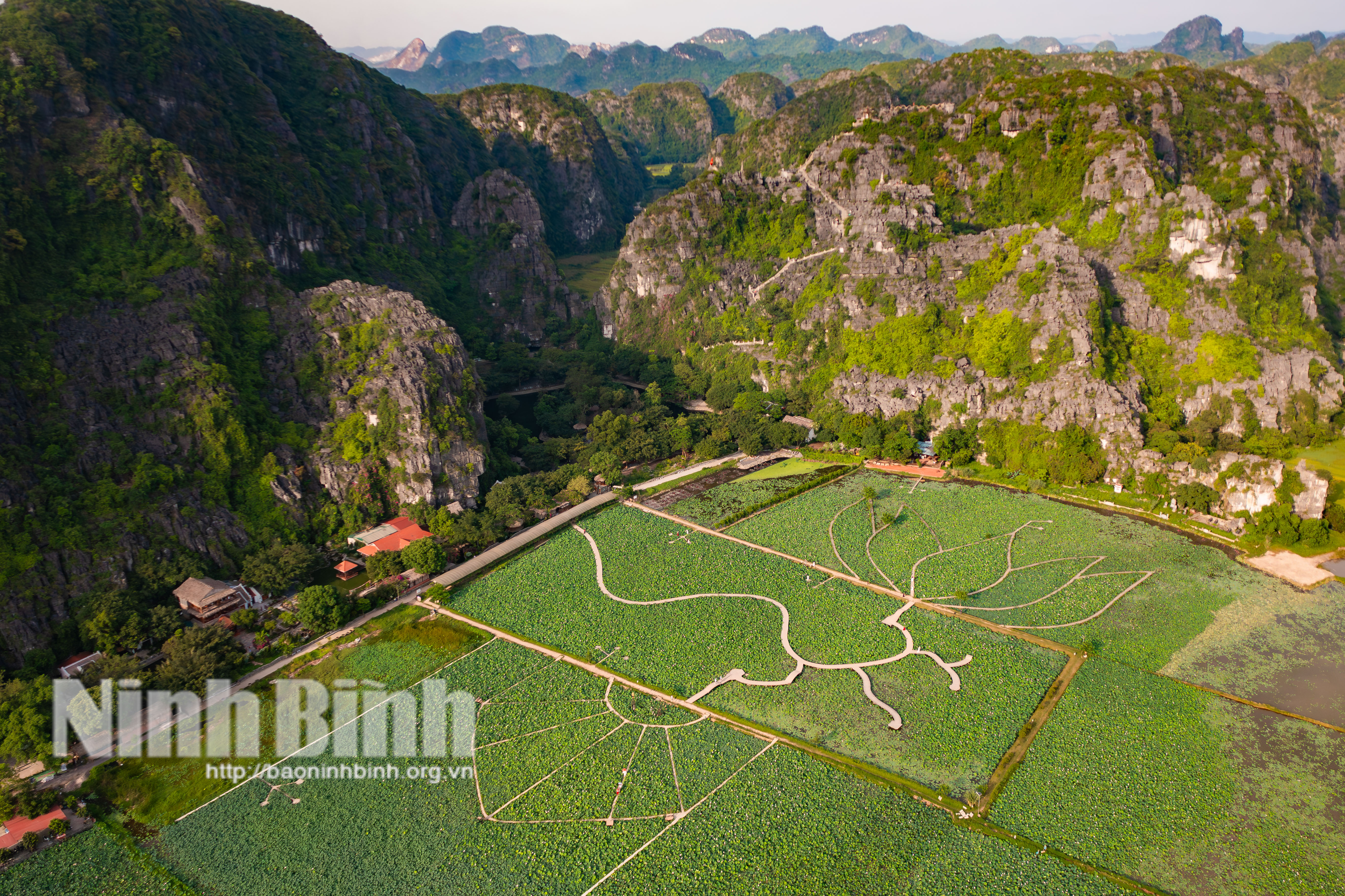 Sắc sen Hang Múa