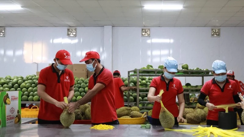 Xuất khẩu nông sản hướng tới mục tiêu 70 tỷ USD