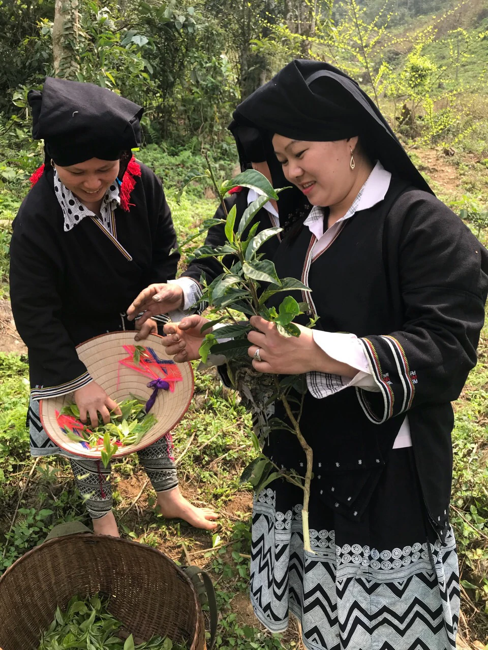 “Sống chậm” ở bản Sưng