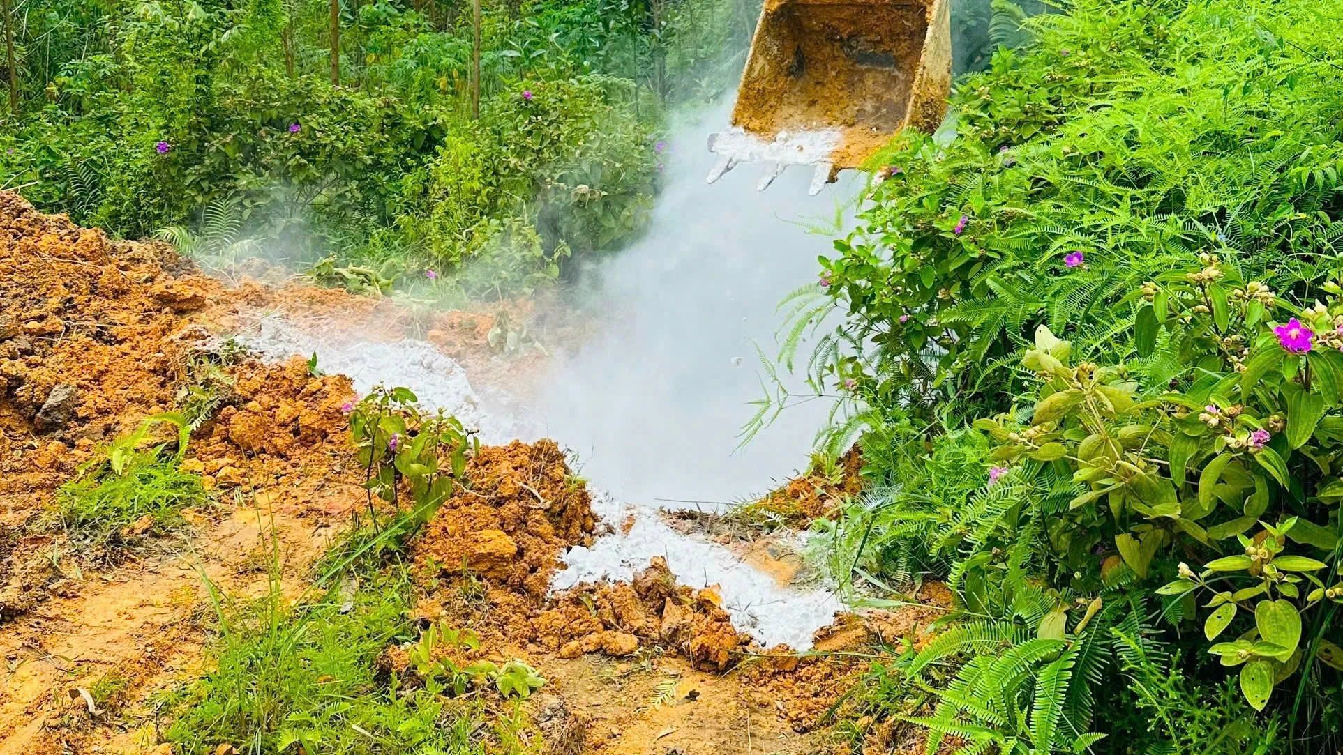 Dịch tả lợn Châu Phi: Khẩn trương khoanh vùng, ngăn chặn lây lan