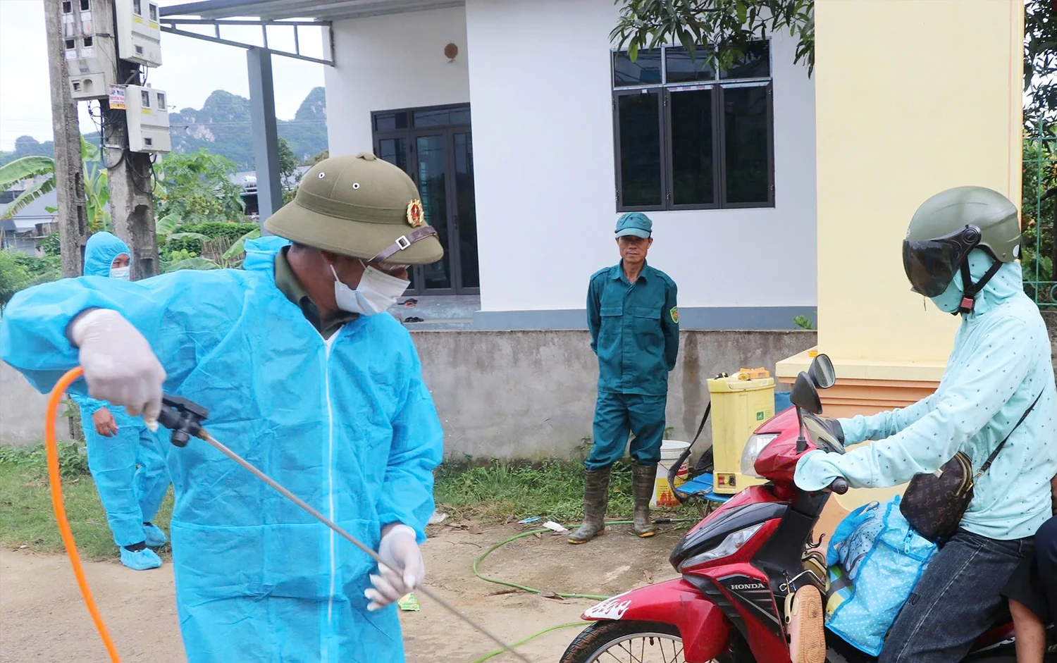 Hợp Kim căng sức chống dịch tả lợn châu Phi