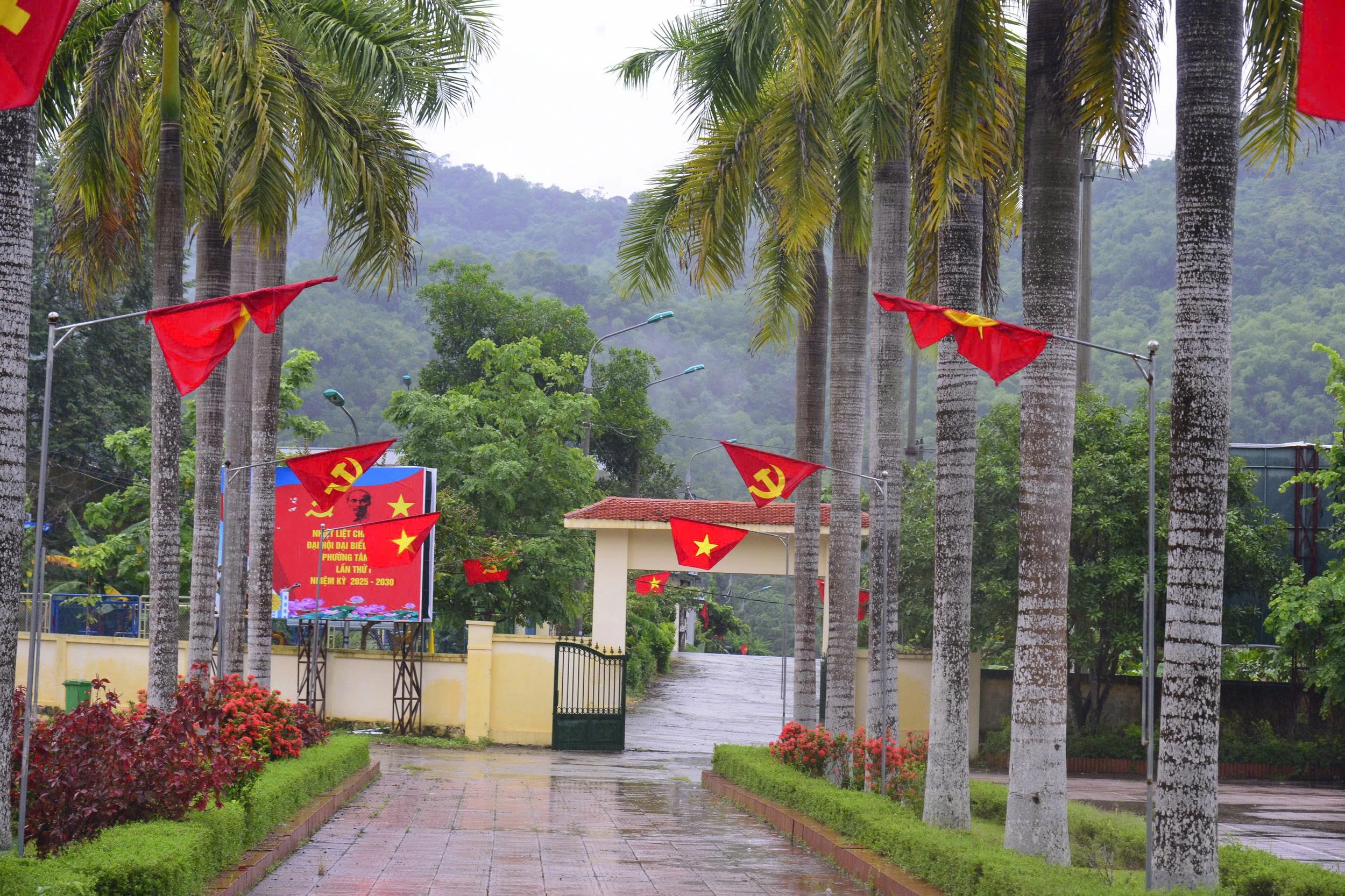 Khai thác tiềm năng, lợi thế, xây dựng phường Tân Hòa phát triển nhanh, bền vững
