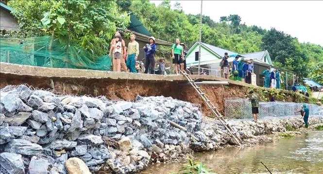Chỉ đạo của Ban Bí thư về việc ứng phó với cơn bão số 3 (Wipha)