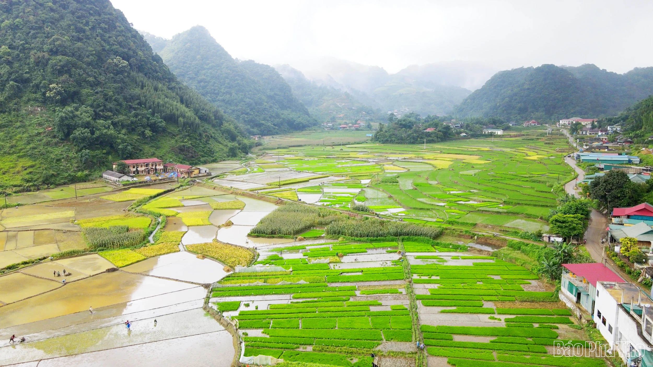 Vân Sơn vươn mình đổi mới