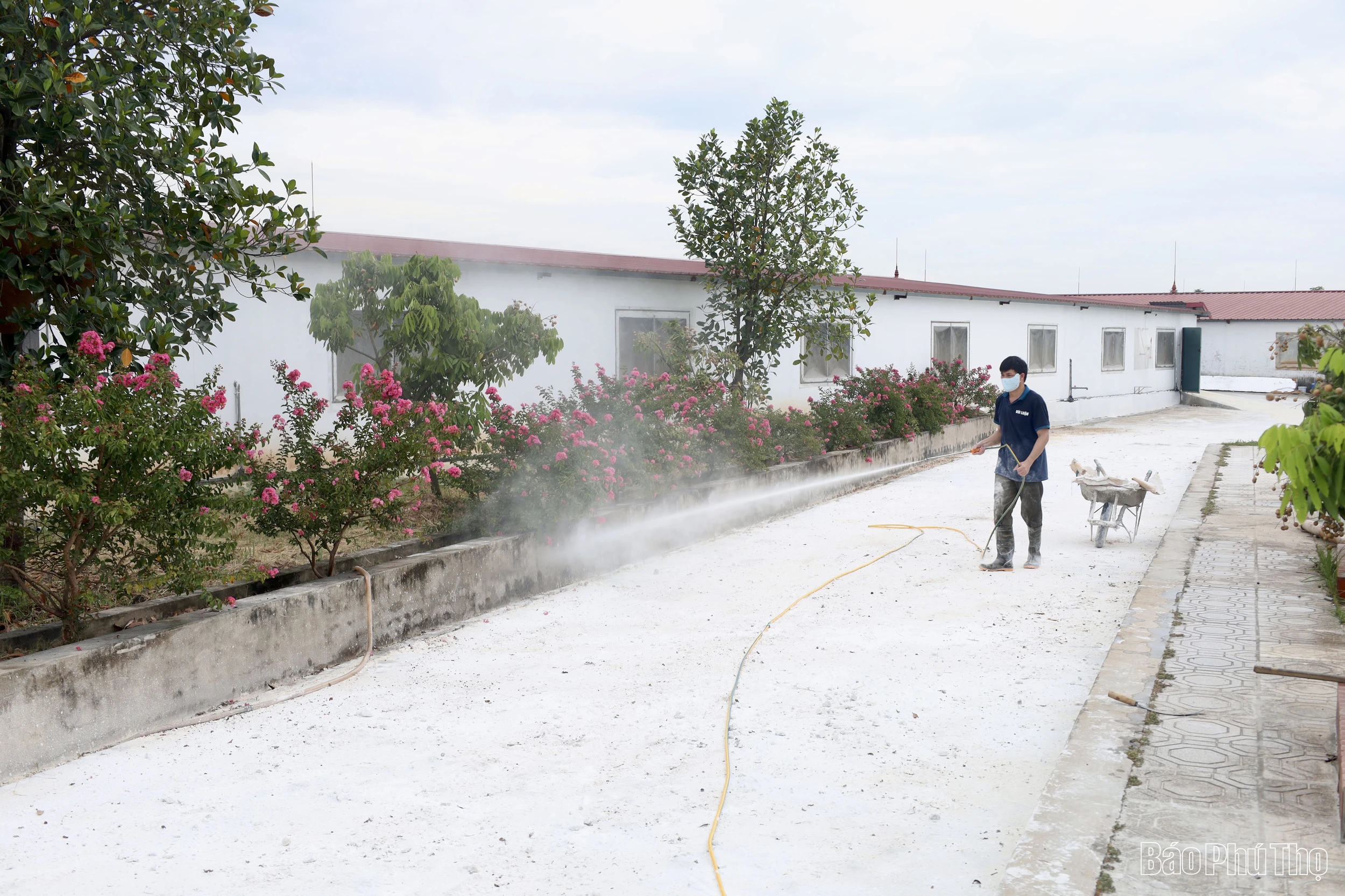Bộ Nông nghiệp và Môi trường làm việc với tỉnh Phú Thọ về công tác phòng, chống bệnh dịch tả lợn Châu Phi