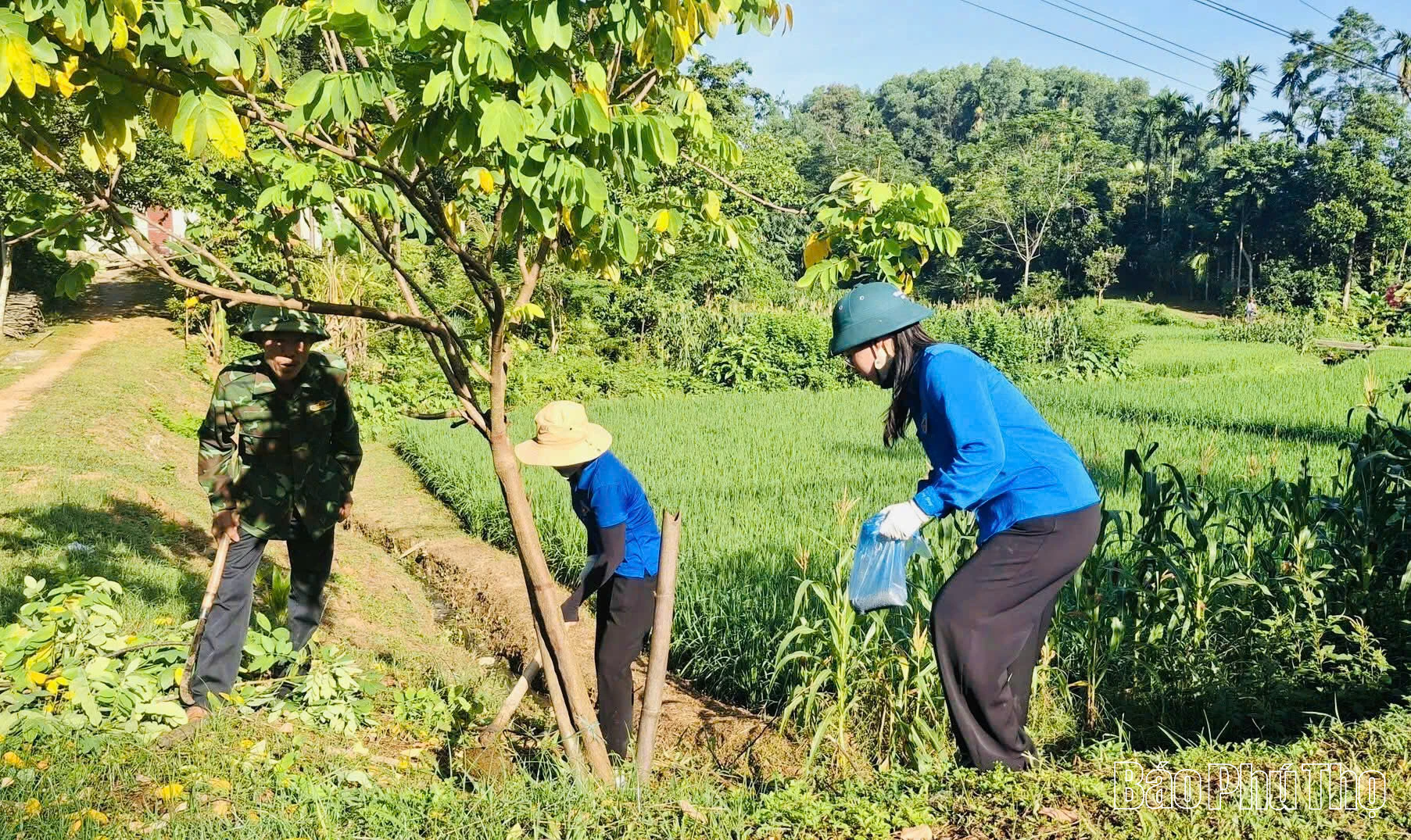 Hạ Hòa tập trung xây dựng Đảng vững mạnh