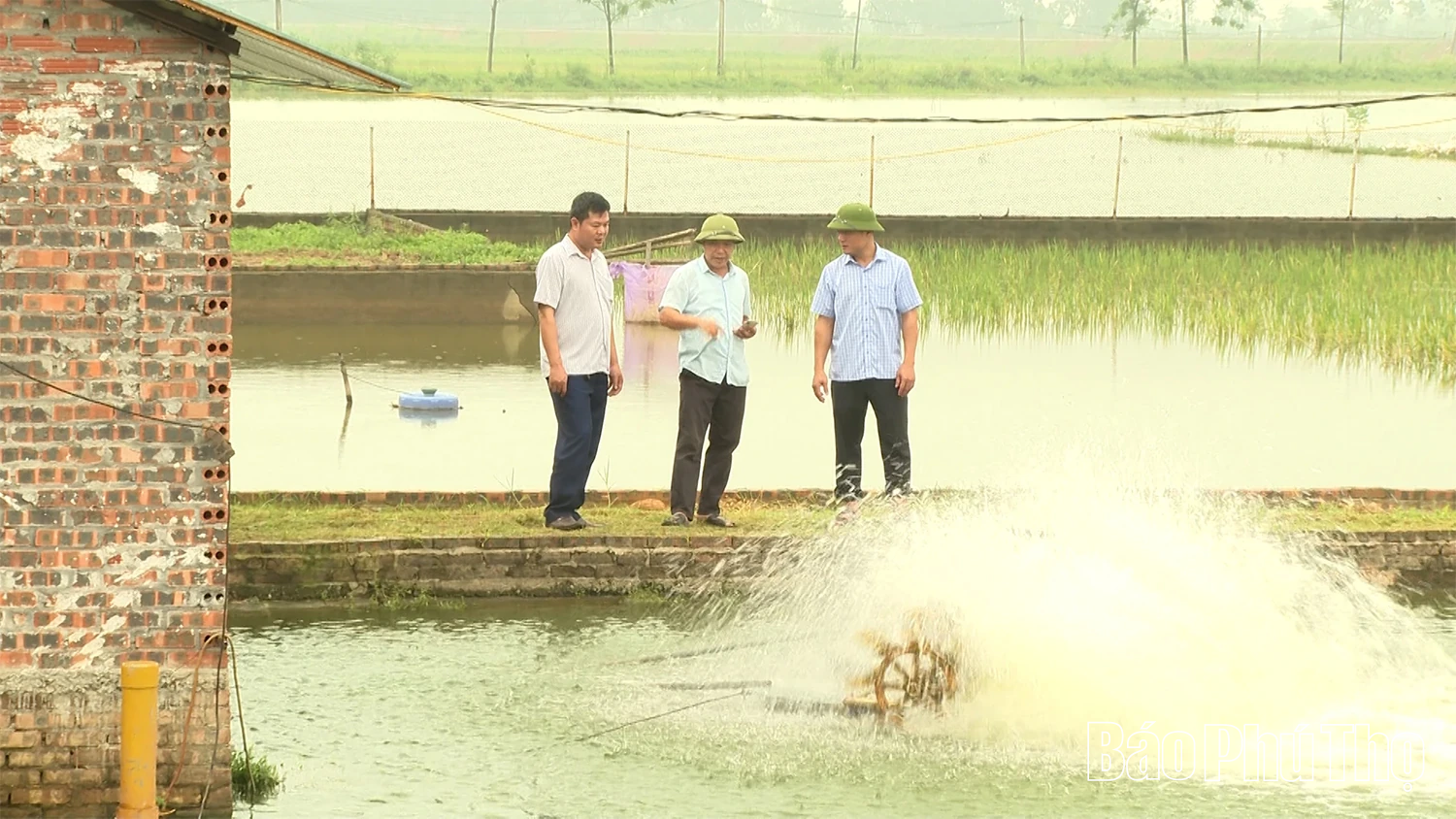 Công nghệ nông nghiệp thông minh: Lời hứa và thách thức từ ao cá