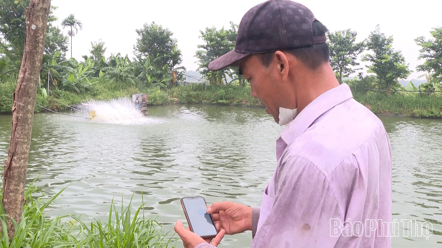 Công nghệ nông nghiệp thông minh: Lời hứa và thách thức từ ao cá