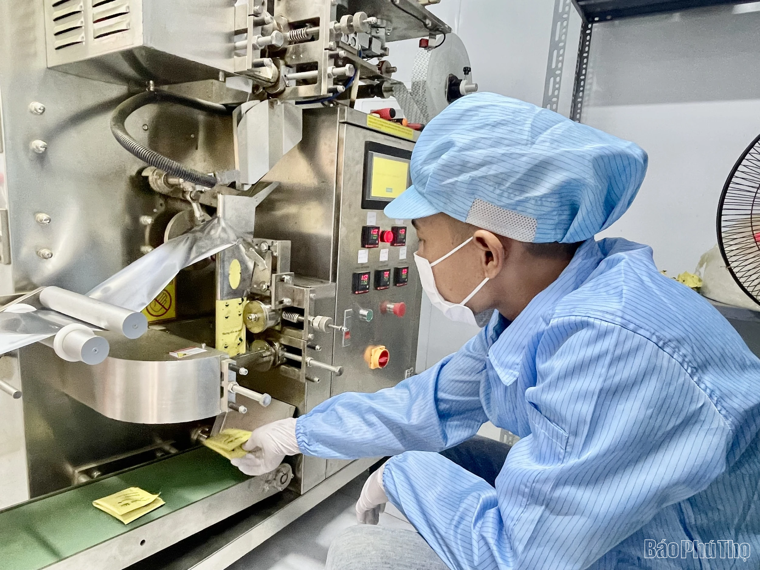 Tăng giá trị nông sản theo tiêu chuẩn VietGAP