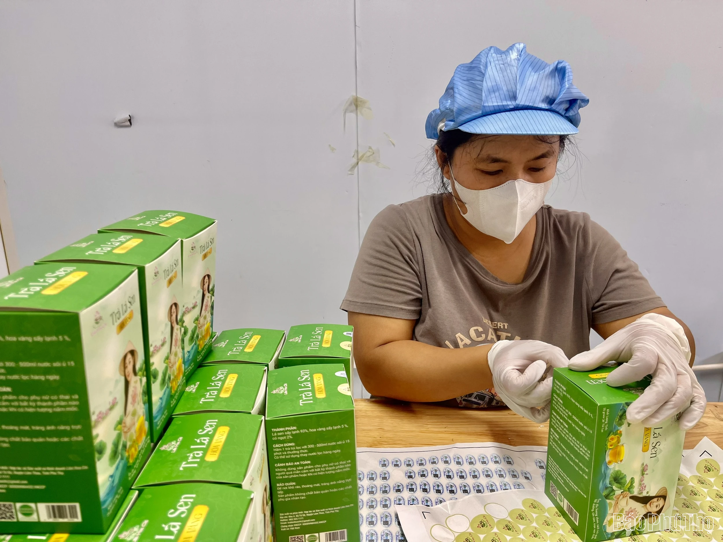 Tăng giá trị nông sản theo tiêu chuẩn VietGAP