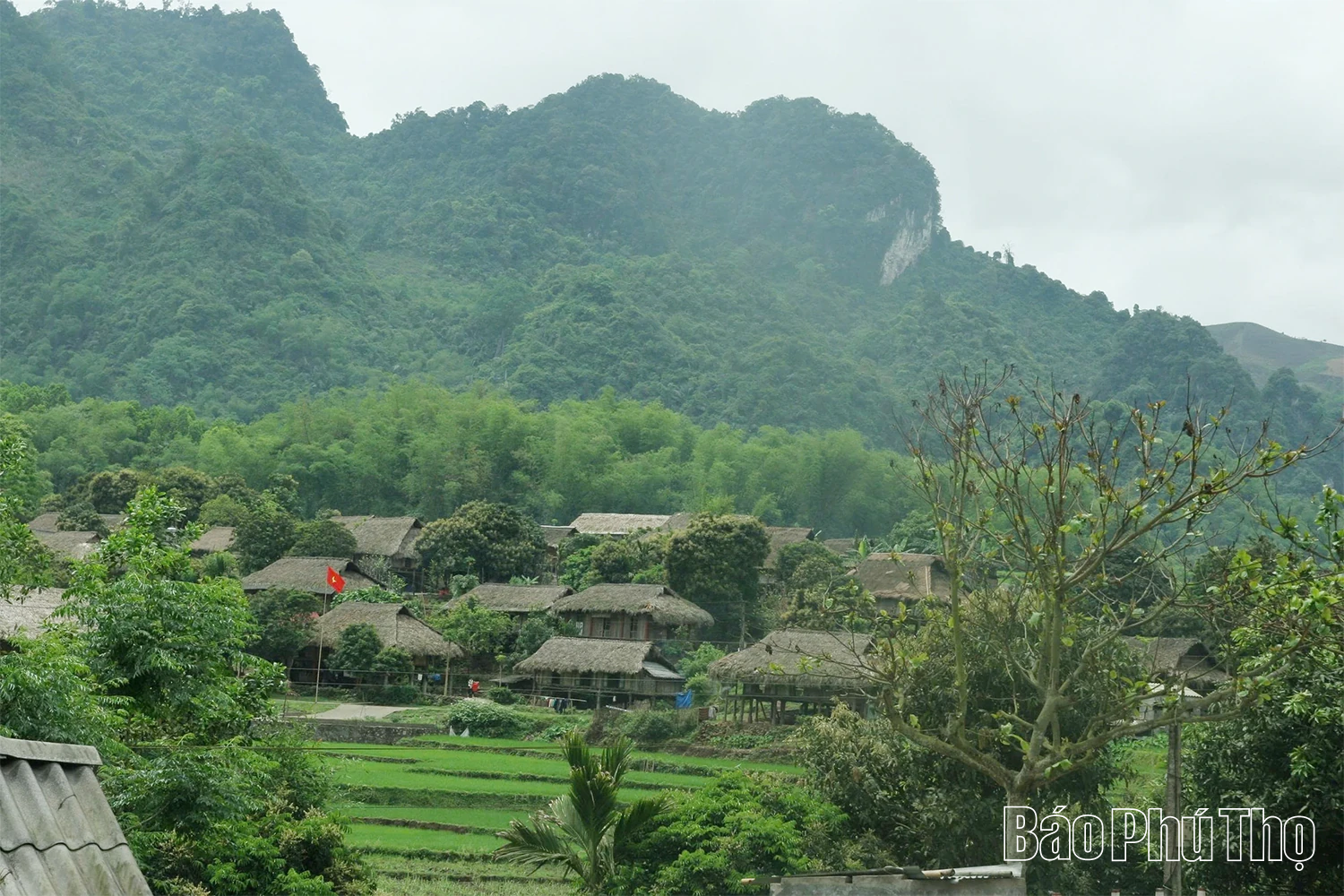 Du lịch Phú Thọ bừng sáng từ chiều sâu văn hóa